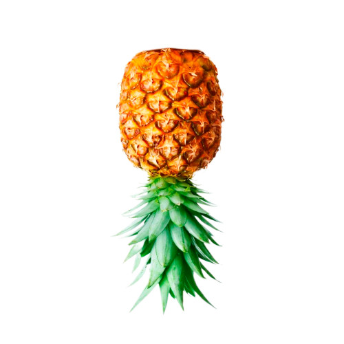 Piña - Free Sounds